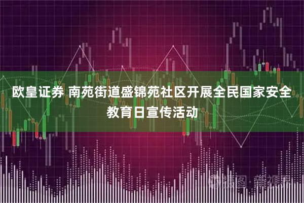 欧皇证券 南苑街道盛锦苑社区开展全民国家安全教育日宣传活动