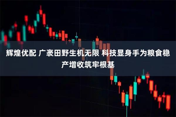 辉煌优配 广袤田野生机无限 科技显身手为粮食稳产增收筑牢根基